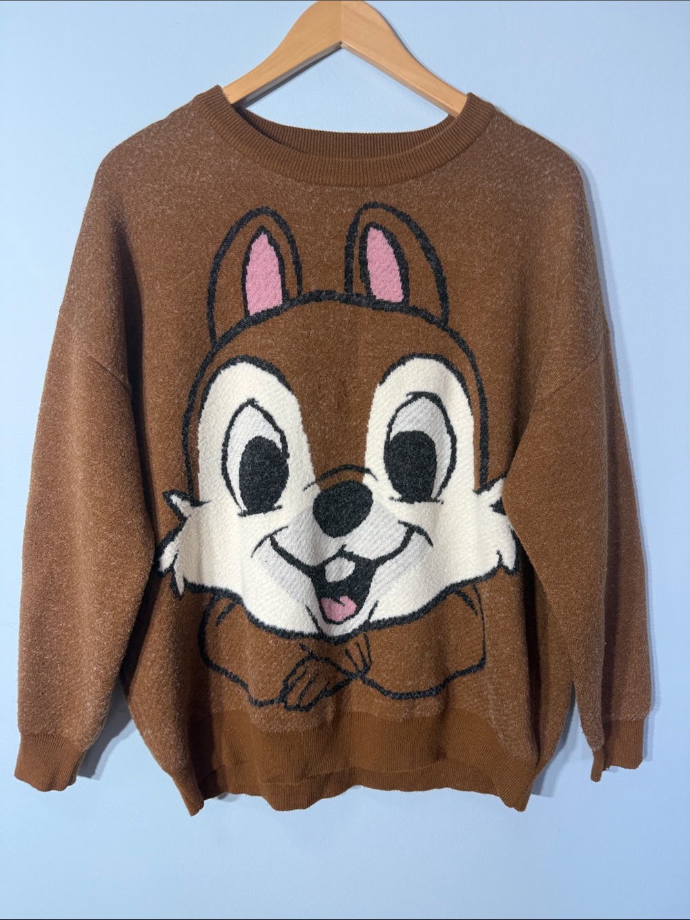 Disney Chip & Dale Crewneck Sweater Size Medium – Cozy Graphic Oversized Brown